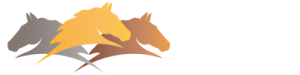 savvyclub-logo-2015