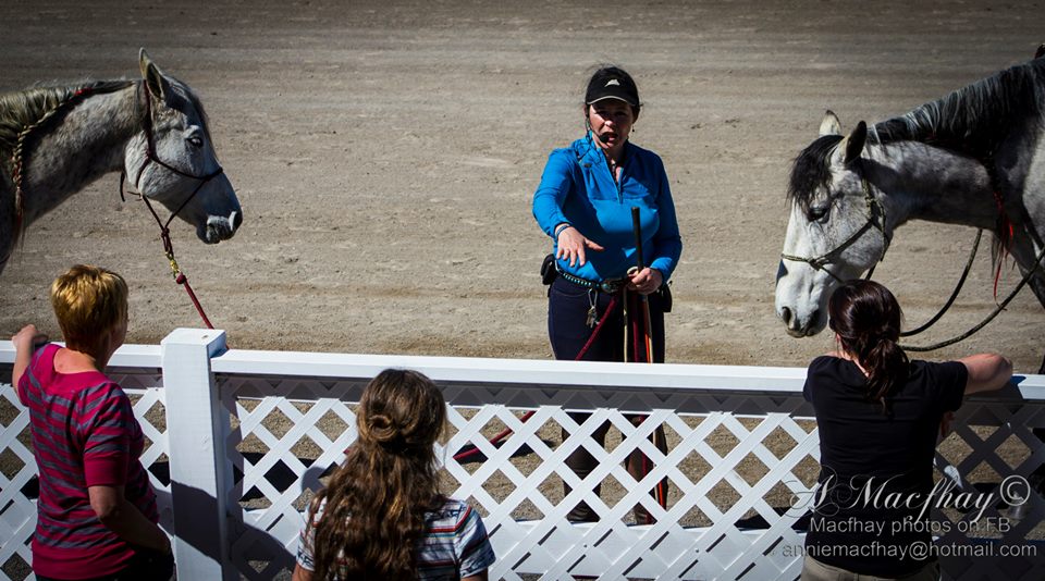 Geneviève Benoit répondant aux questions durant une démonstration avec ses chevaux