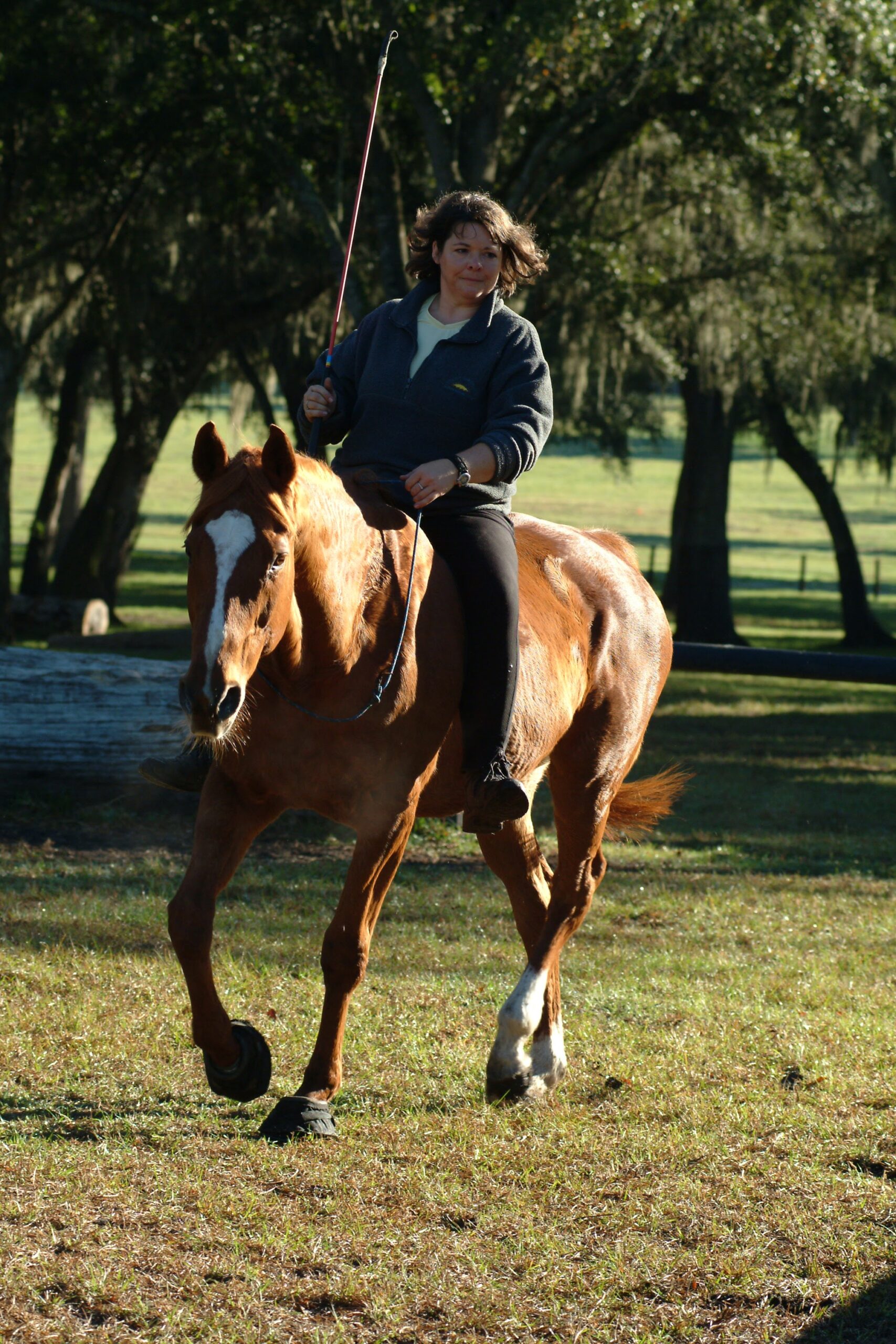 Geneviève Benoit montant un cheval alezan sans selle ni bride