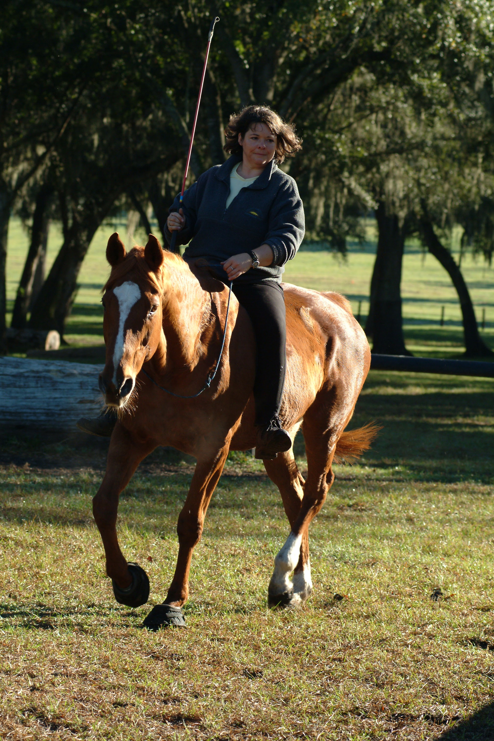 Geneviève Benoit riding a chestnut horse bareback and bridleless