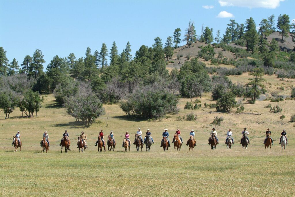 Un groupe de cavaliers alignés dans un pâturage de montagne